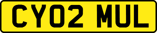CY02MUL