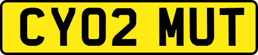 CY02MUT
