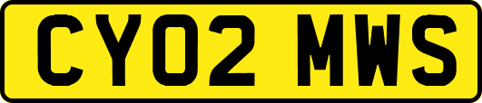 CY02MWS
