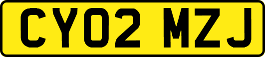 CY02MZJ