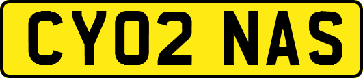CY02NAS