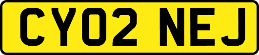 CY02NEJ