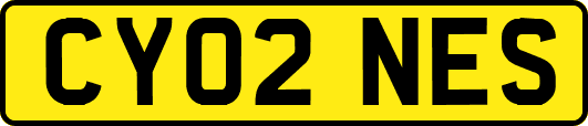 CY02NES