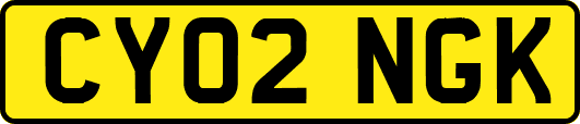 CY02NGK