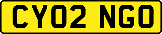 CY02NGO