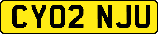 CY02NJU