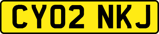 CY02NKJ