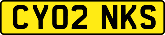 CY02NKS