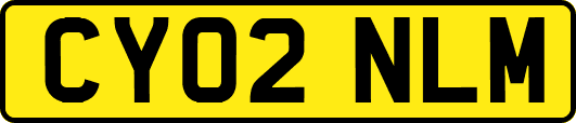 CY02NLM