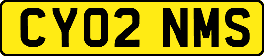 CY02NMS