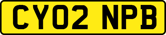 CY02NPB