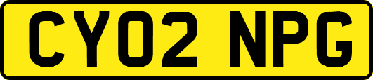 CY02NPG