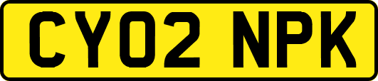 CY02NPK