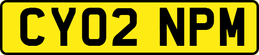 CY02NPM