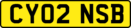 CY02NSB