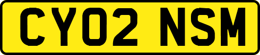 CY02NSM