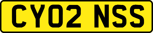 CY02NSS