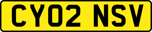 CY02NSV