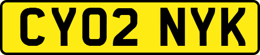 CY02NYK