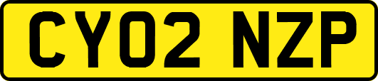 CY02NZP