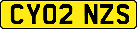 CY02NZS