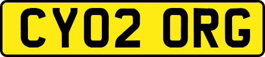 CY02ORG