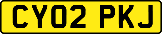 CY02PKJ