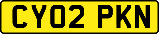 CY02PKN