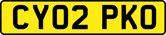 CY02PKO