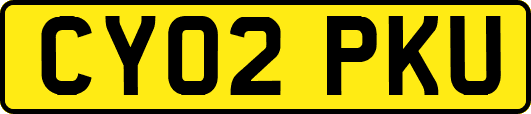 CY02PKU