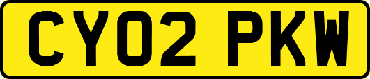 CY02PKW