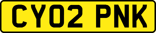 CY02PNK