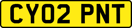 CY02PNT