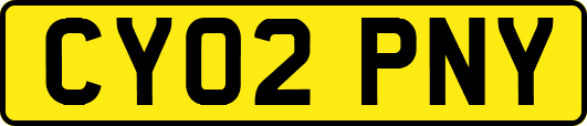 CY02PNY