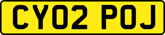 CY02POJ