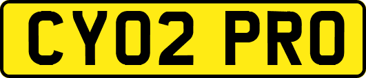 CY02PRO