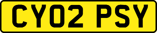 CY02PSY