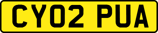 CY02PUA