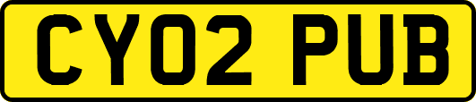 CY02PUB