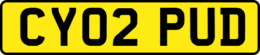 CY02PUD