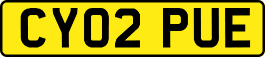 CY02PUE