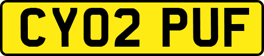 CY02PUF
