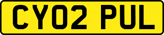 CY02PUL