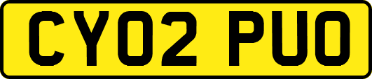 CY02PUO