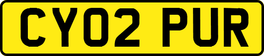 CY02PUR