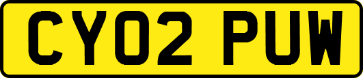 CY02PUW
