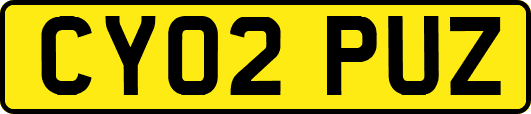 CY02PUZ