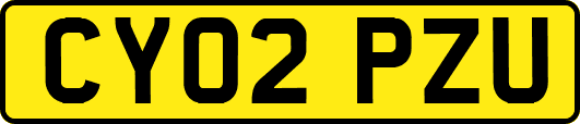CY02PZU
