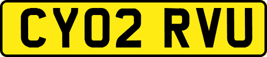 CY02RVU