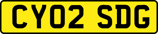 CY02SDG